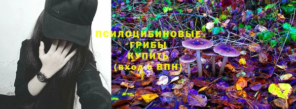 стафф Абдулино