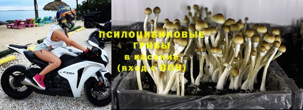 кокс Абаза