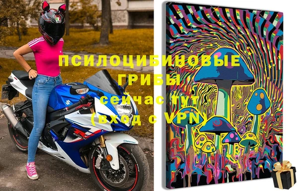 кокс Абаза